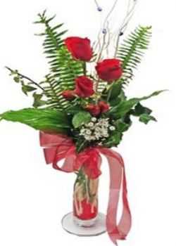 cam vazoda 3 adet gül