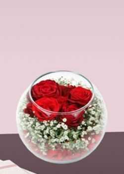 cam fanusta kırmızı güller