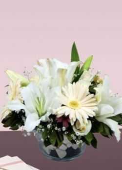 beyaz gül gerbera ve kazablanka arajmanı