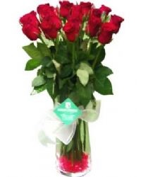 cam vazoda kırmızı güller