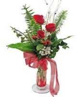 cam vazoda 3 adet gül