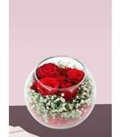 cam fanusta kırmızı güller