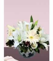 beyaz gül gerbera ve kazablanka arajmanı