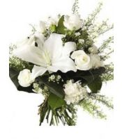 TÜRKİYE Çiçek kazablanka beyazgül 