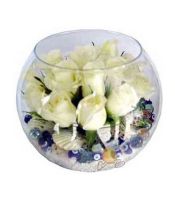 fanus içinde beyaz gül